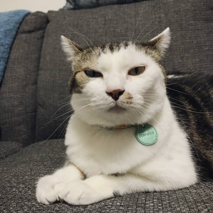 498681fc 3cef 4206 ade2 60e9929deb81 1539081637377