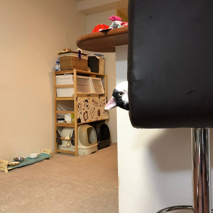 498683b1 8bc8 4b2b 852a 084798ca4e7c 1529491159019