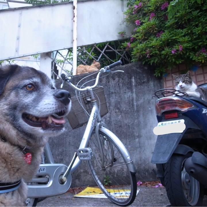 49869375 42d0 4b0c 970b 50fcdc5b657f 1607301133211