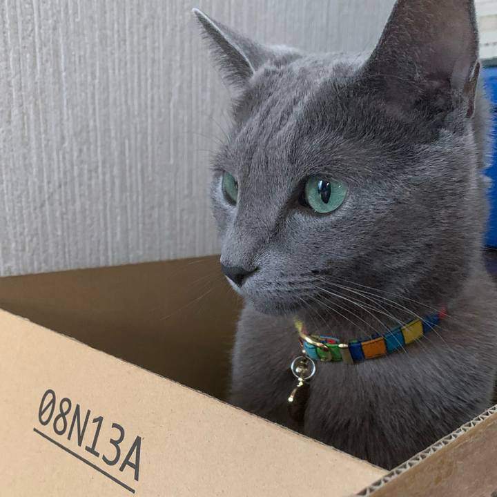 4986c25f abc8 42f1 be69 29eb6c1919a3 1661732045210