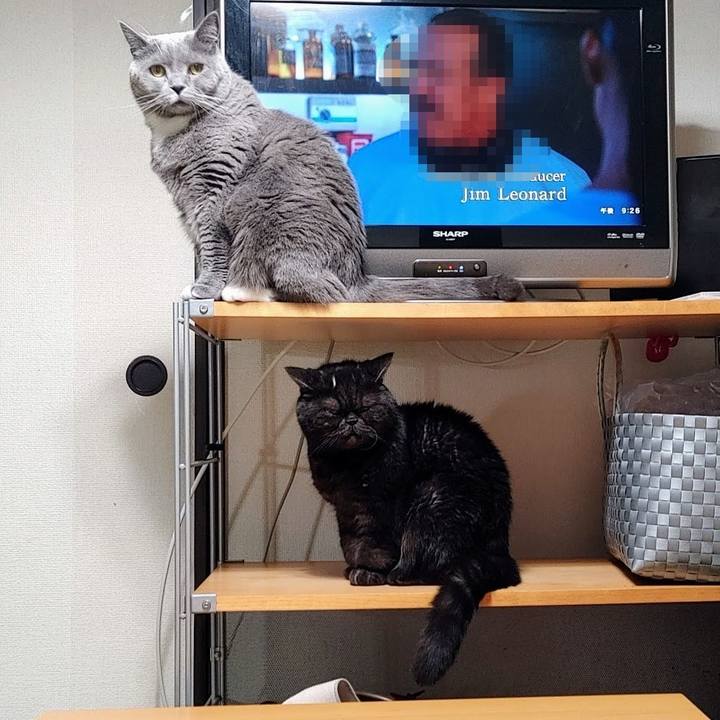 4986d536 a6cf 44c6 a85e ce29f9665d8a 1646051723733