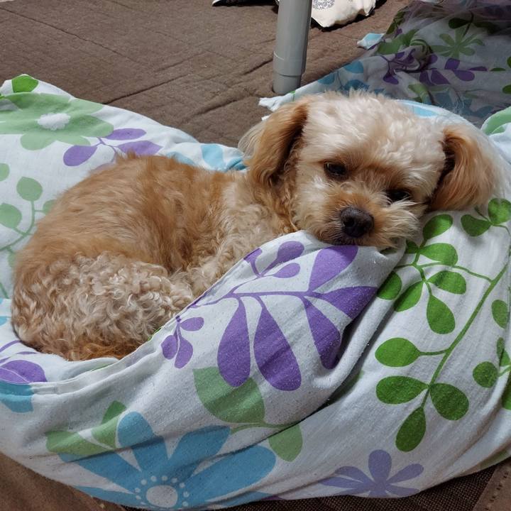 4986dc7d 3854 44c1 9166 982890e7e62c 1629873777344