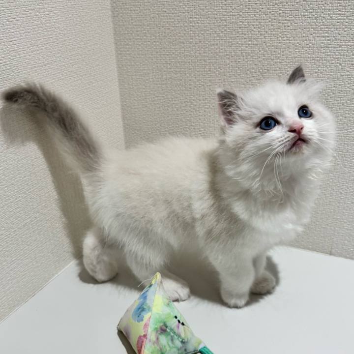 4986e3b0 31c8 417c a86e 67fceb802b24 1752385655346