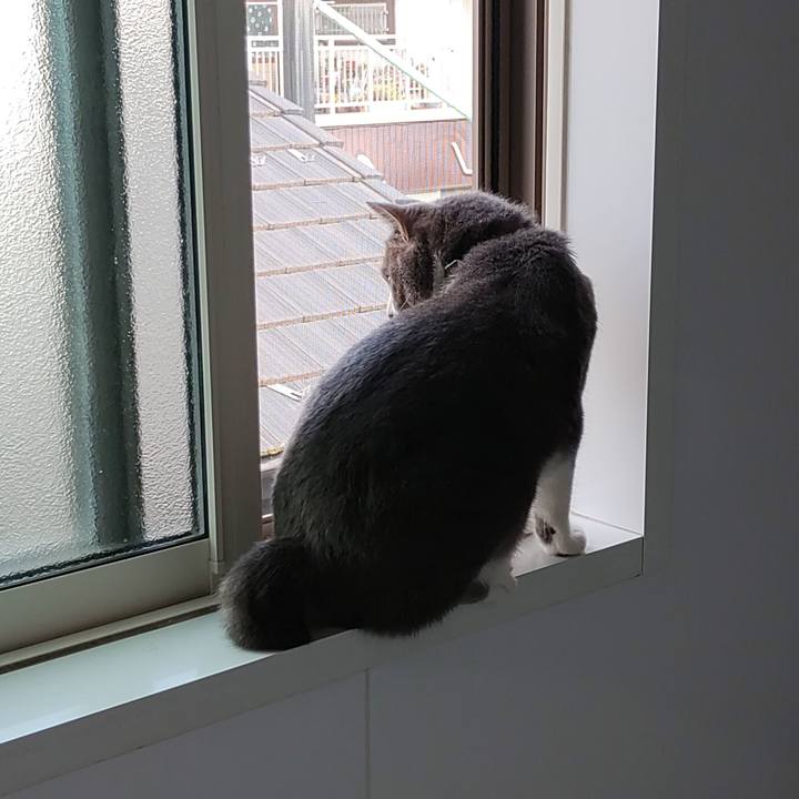 49871947 2d6d 452d a79a 150083e9a841 1718423519350