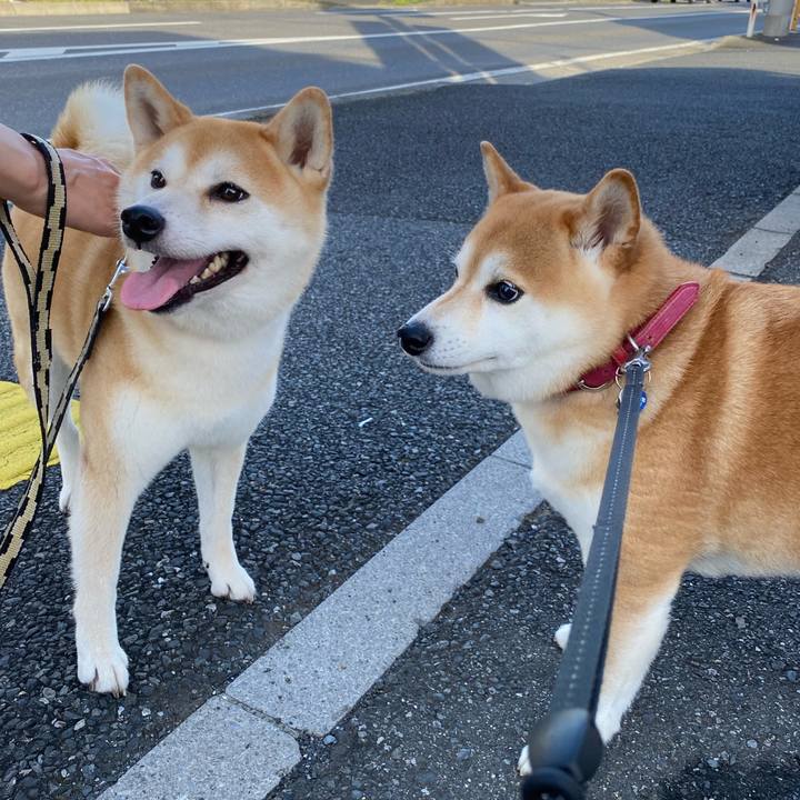 498724c9 ff5d 4b25 a61c c8e0f2791997 1628289712728