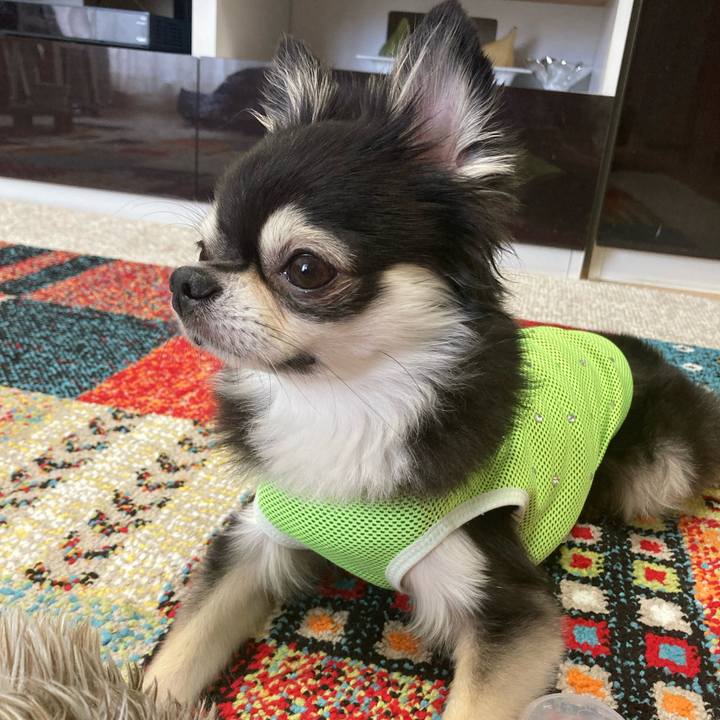 49872837 7024 45cc 85b0 a68823de0b05 1692028548256