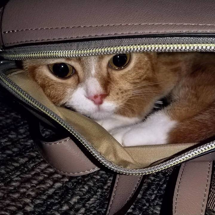 49874b60 2edd 4df6 8e24 c48a2f69380c 1654514565483