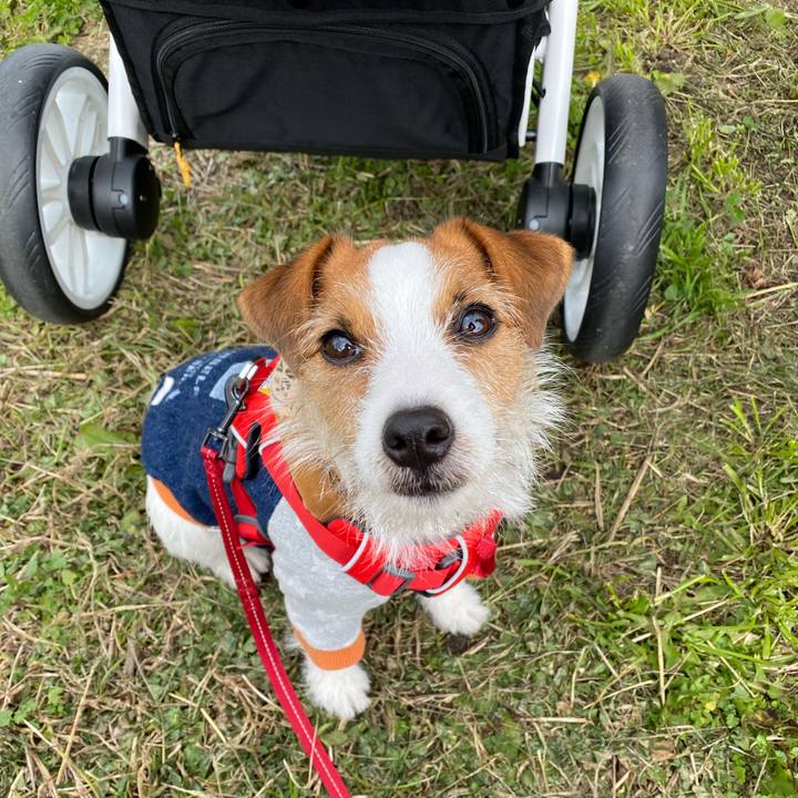 4987583a 6d3e 42f5 ac8a 11eb0a68f555 1638692120720