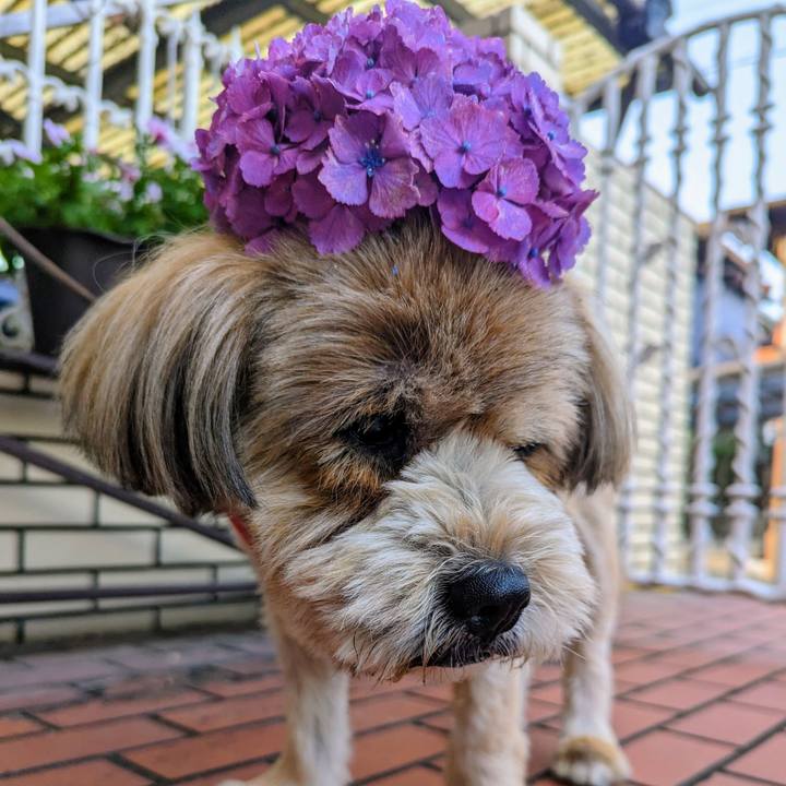 49875aeb 9dd1 488a ac70 37d0d8d145a4 1685875307607