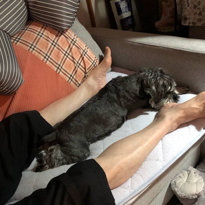 49877344 3795 489c acf8 54935289b939 1689576394075