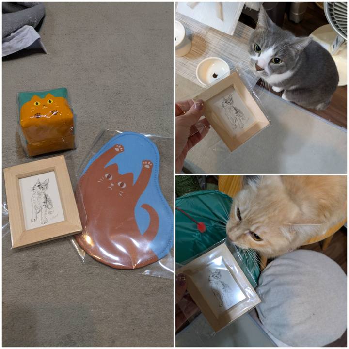 4987b735 7102 47f7 accf 073327d8a7e4 1765014848106