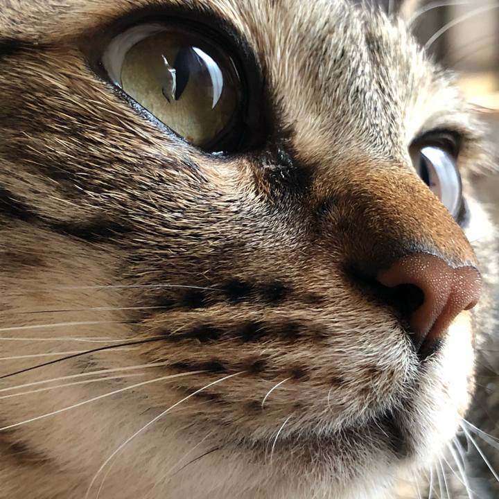 4987c49e 8b33 45c6 a85e 096fd5f6c212 1526094375466