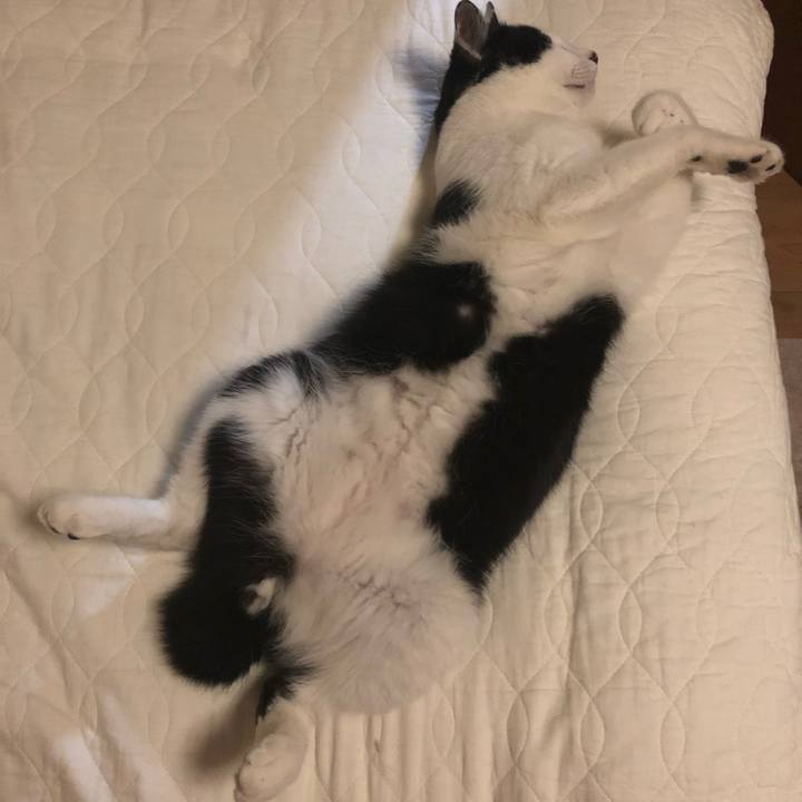 49880e87 56cd 4b27 9749 9d5559233ca9 1559145304540