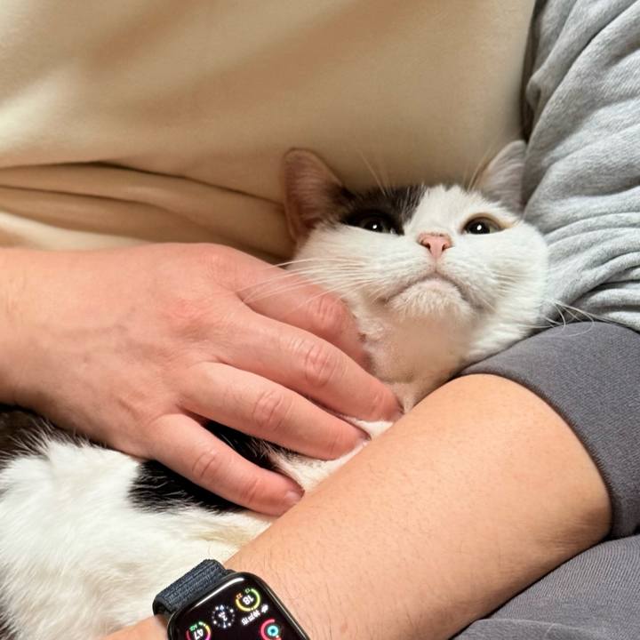 498814a3 933b 4cde af59 ca3e5ceb3273 1732845562482