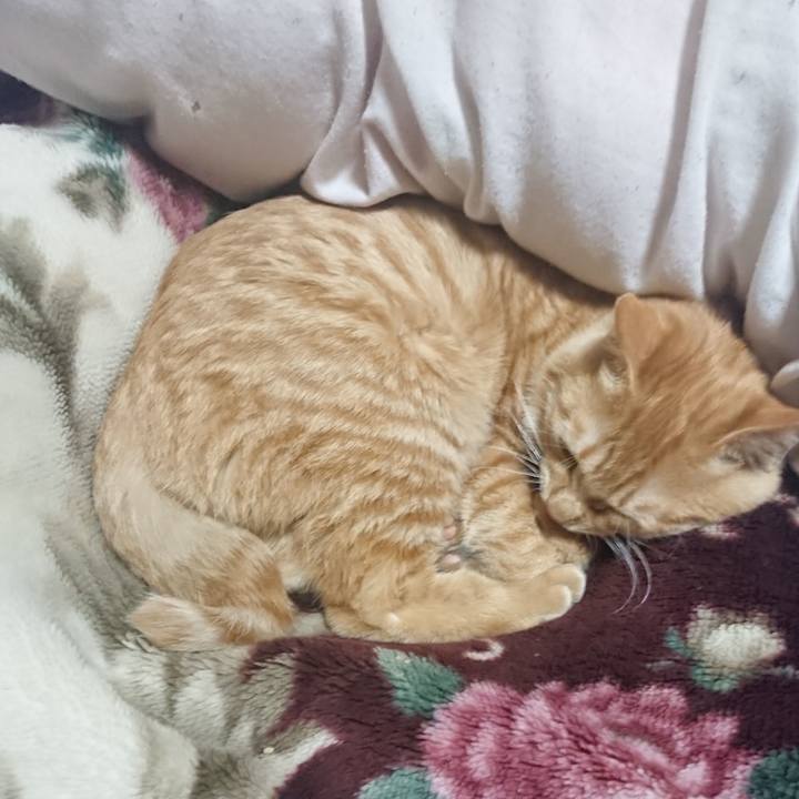 49881bd8 f2f4 4aa3 ba13 15d2359c32dc 1637755200702