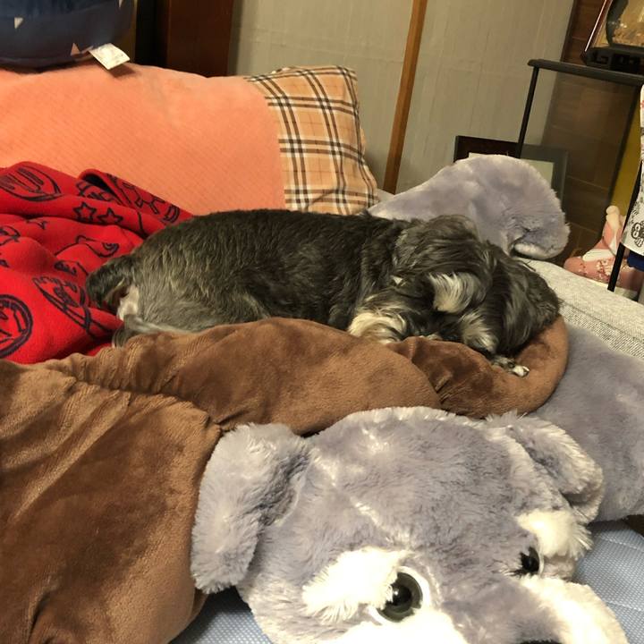 49881e03 61bb 44ac 93a9 a92676f33e2a 1612525959058