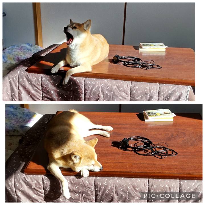 4988630d 7ed5 427f 8da4 ee9a999ff4d3 1766122290231