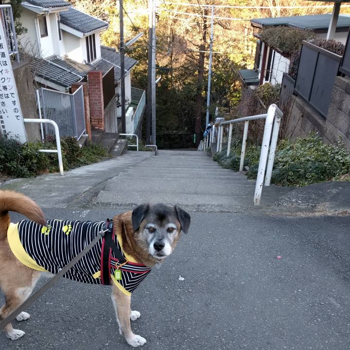 49889144 41f0 4d43 b73c 0a6e657c8276 1515979415391