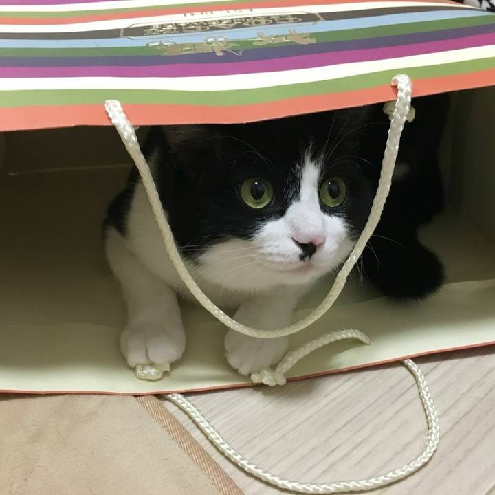 4988a874 ede9 4ddf adae 305f118ab5b7 1526307613499