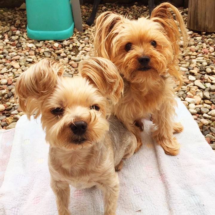 4988b43c 5599 41f5 819a f4eb6d0f3dc9 1531870420437