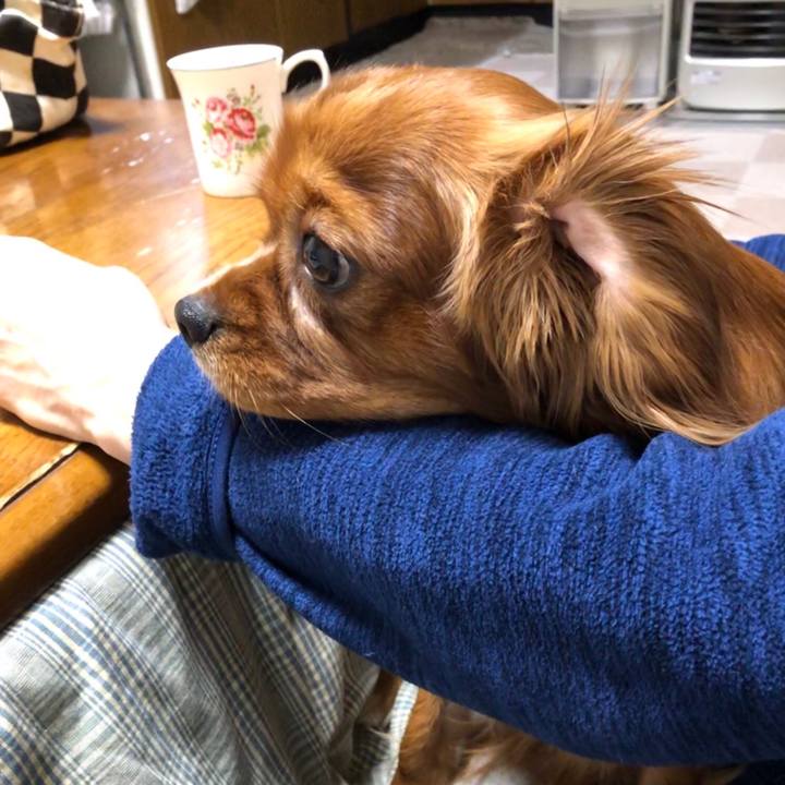 4988b56e 1d1c 4aec 9cb4 a642d9367948 1547589417910