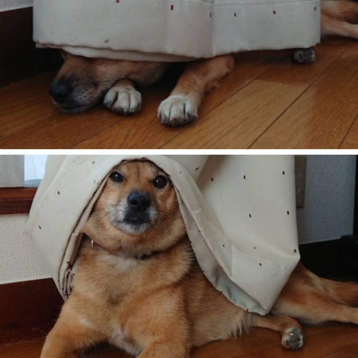 4988edaa d4a3 4711 9ad0 4f4f11f61d83 1594545004476