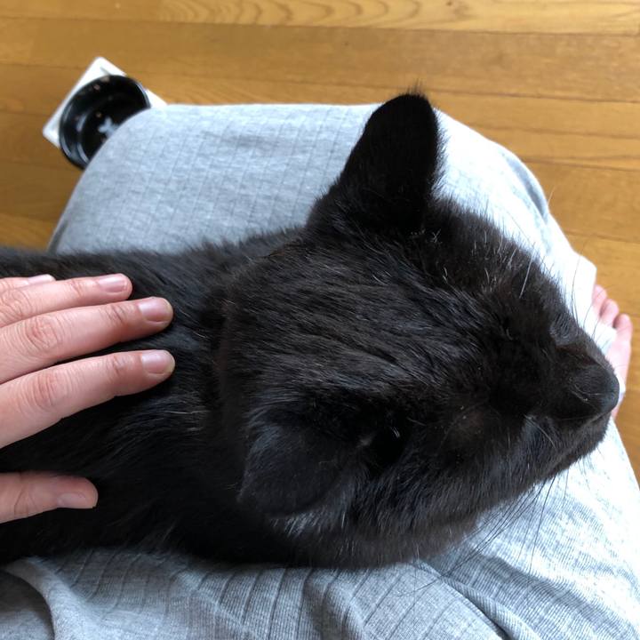 4989094e f397 4dee 9770 b4c1b4331f96 1597361736661