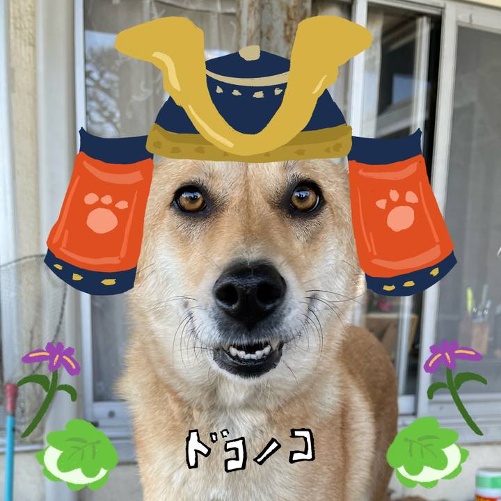 49891628 fba1 4024 b29d 76faeecfc079 1714900807395