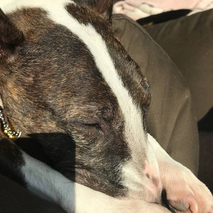 49893069 77d3 4ddb 9731 601cf56c685f 1518237281367