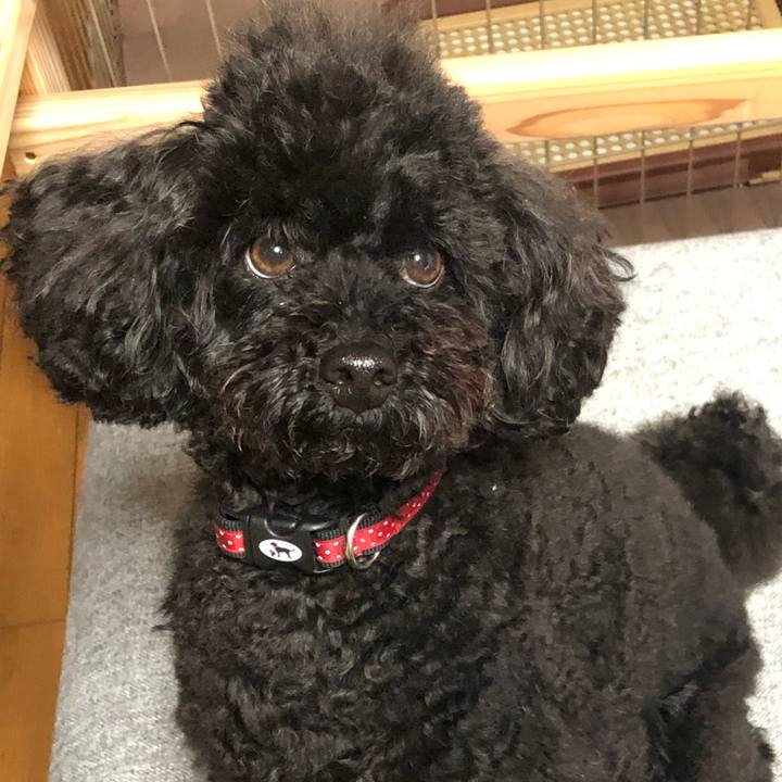 498942b6 8824 4e54 a35e 05c6f6018b25 1588748625067