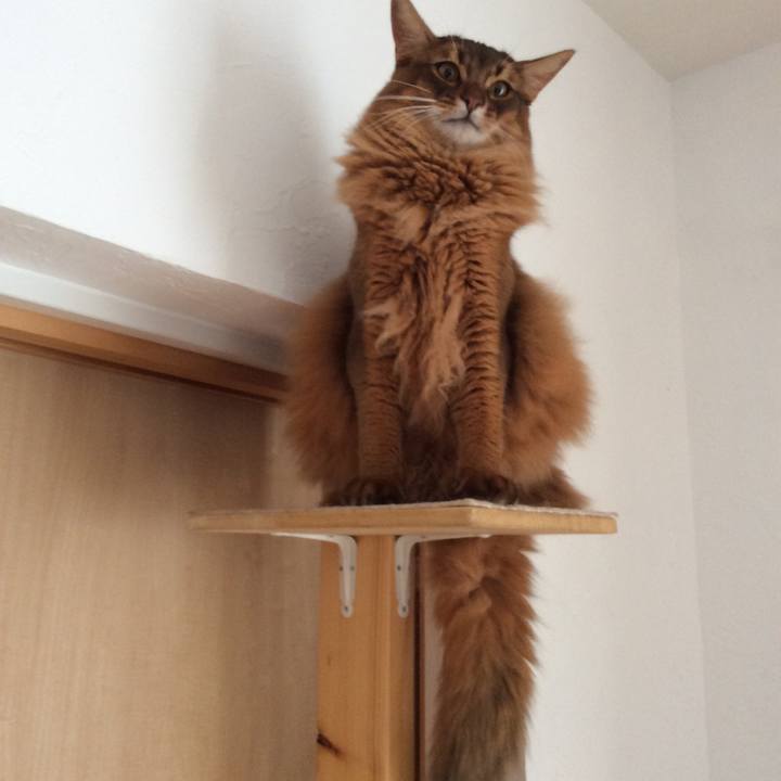 498944dc f26f 4d0c aa58 e21de322cd51 1606534945860