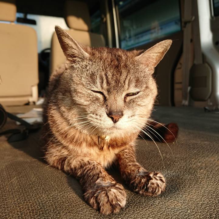 49894f94 6edb 4ac1 8da5 baad3604a064 1564346607096