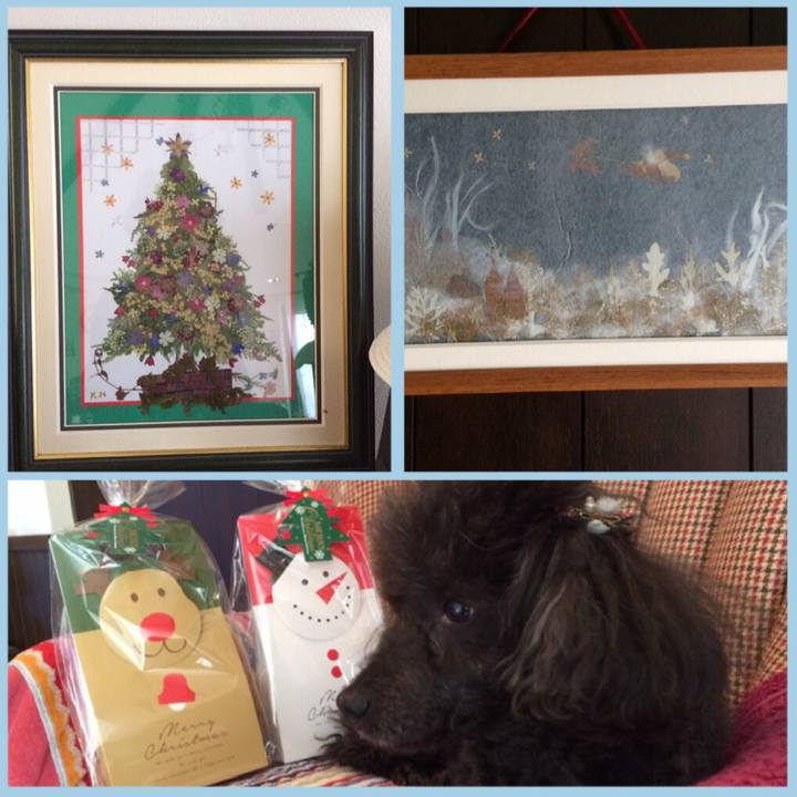 498960ed 4e84 4b3c afce 7c8f73385d87 1545441457903