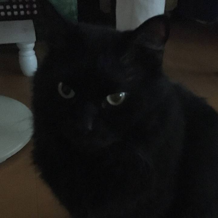 49896844 342b 4067 9947 b09e32b2a2ef 1534243909082