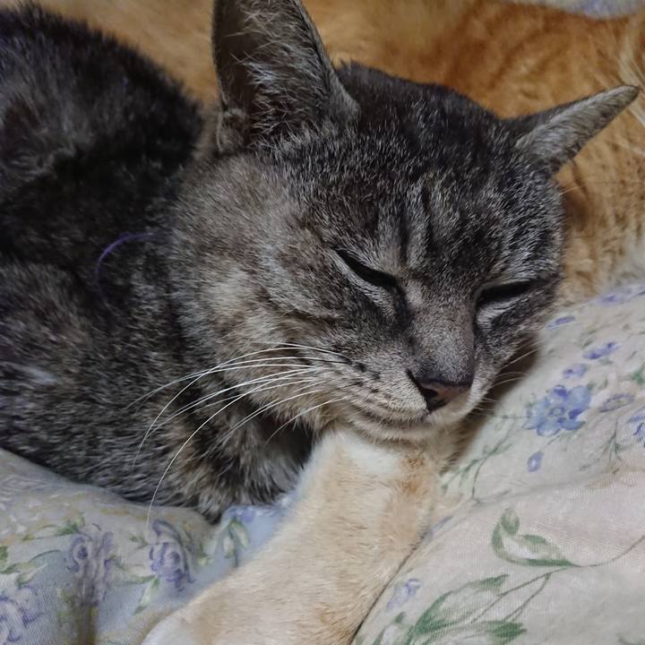 4989ccdc b228 4af3 9b3a dcef4a7d52fd 1582288057273