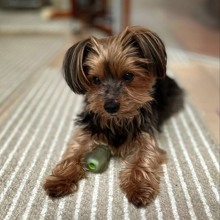 4989efc7 42ab 46f2 b088 4f60cddb7b4a 1646614031290