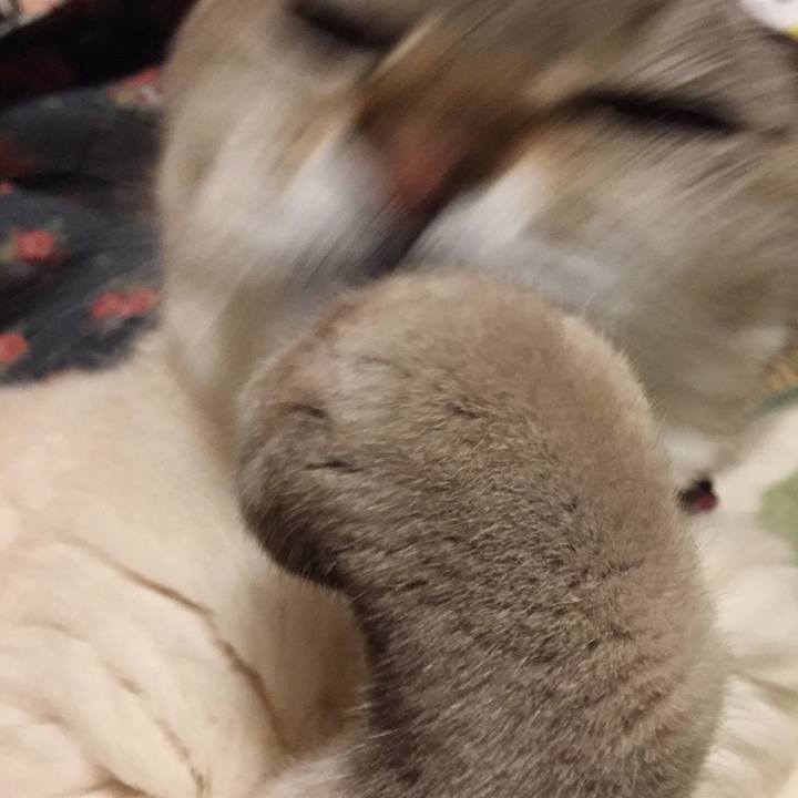 498a0597 dfd7 4be8 914b 513378045496 1586951207813