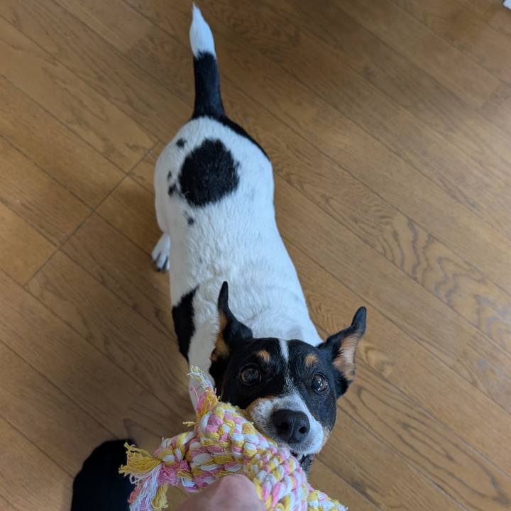 498a07a4 d71d 410f 9aff b1d7eb047ddf 1740981429954