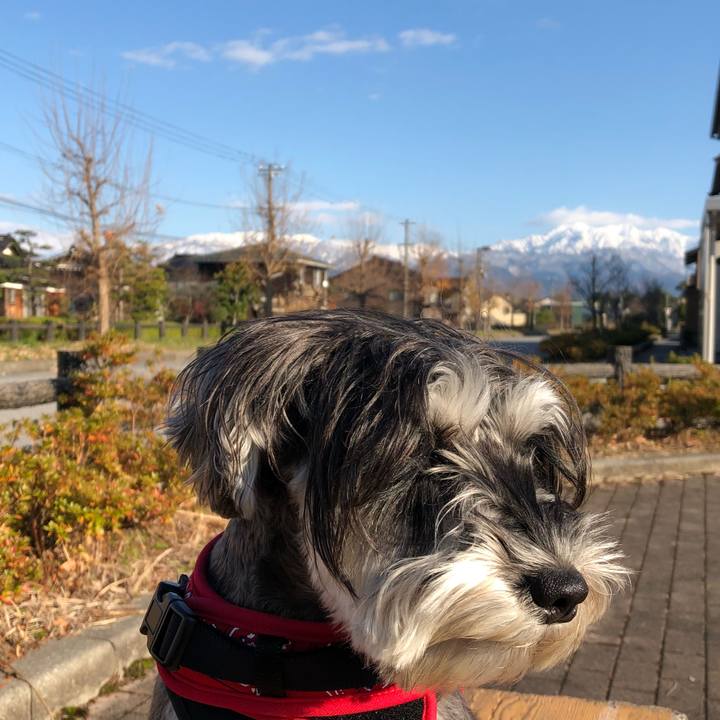 498a327f 5ba0 45cd b0c4 525c738154d8 1512296739540