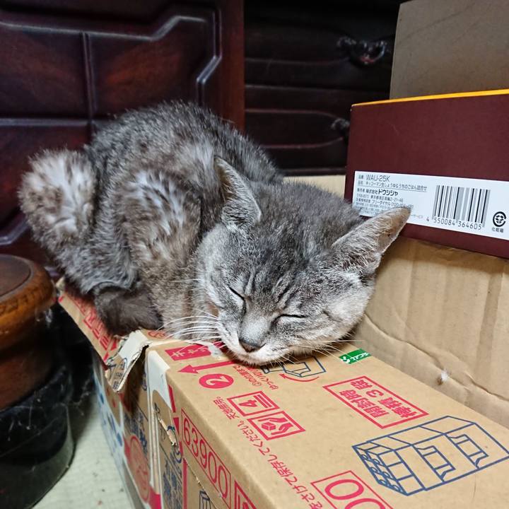 498a3835 6774 4dba 8db4 b050226b6bdf 1568462179253