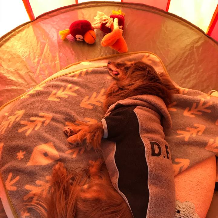 498a3983 921b 4d5e ac30 a8ade4ba28ae 1516519585617