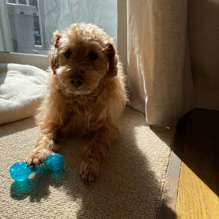 498a69ba e588 41f1 8c7d 20cc63b453b5 1646951239464