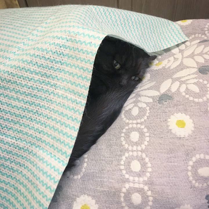 498a6ef7 3748 4563 b64e 7797a4a22f97 1510283533648