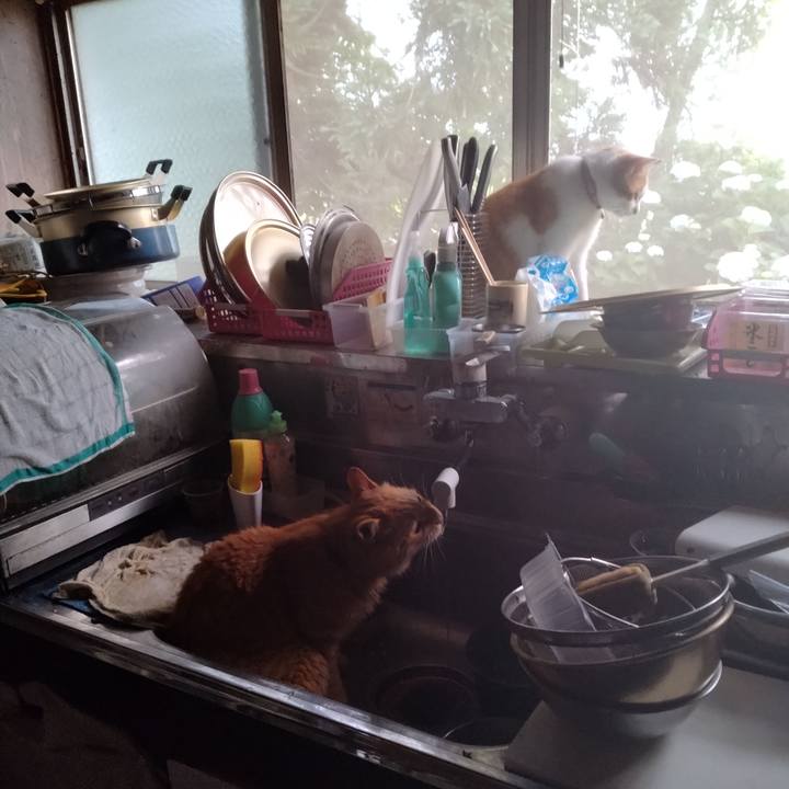 498a7785 131c 4e38 ae9c f05e6ca93562 1751838998866