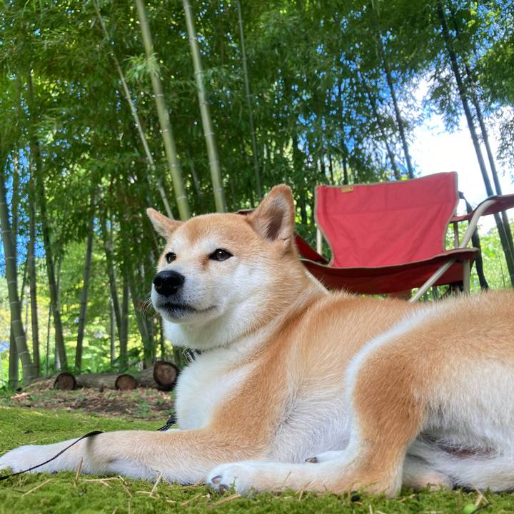 498a7d1f 6320 4a0b 87ea 7bcd2e09973f 1691900673311