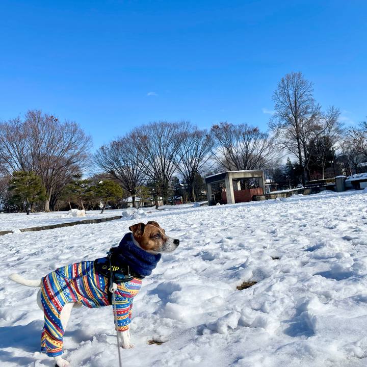 498ab783 6e6f 43d0 afba 59c560d5ea56 1739174567464