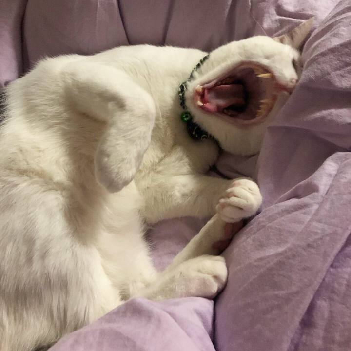 498af59e 81a9 44da a756 12a27f82e3e2 1560691979366