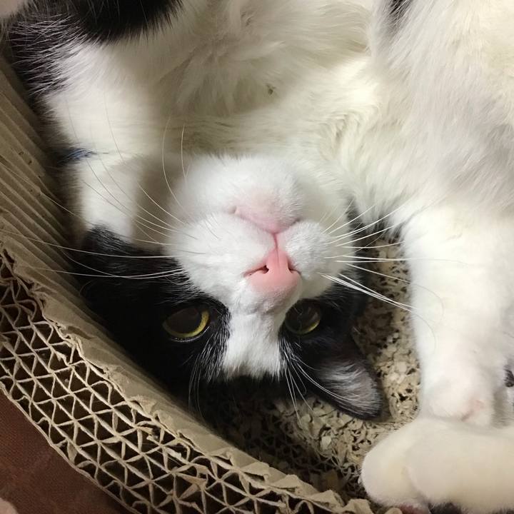 498b7620 af09 446c 9fe1 7d55af252667 1701604354358