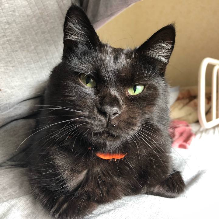 498b7e26 5b72 4989 9357 53f7a689ead0 1571009073417