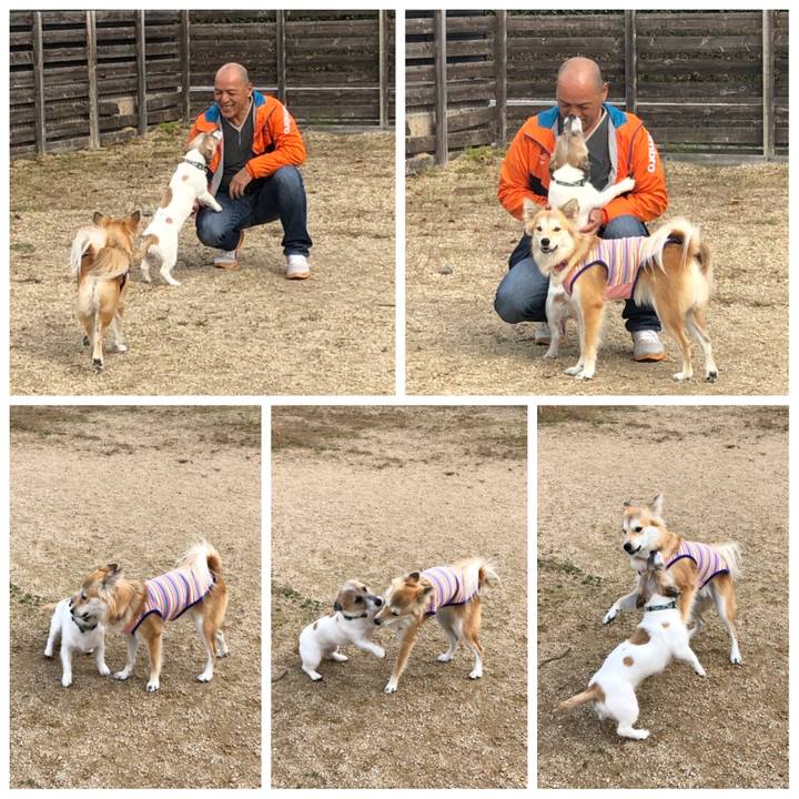 498ba90a 793e 4ad1 8226 493b8033b611 1543914970535